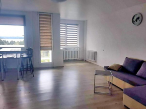 Light studio apartment with stunning view
